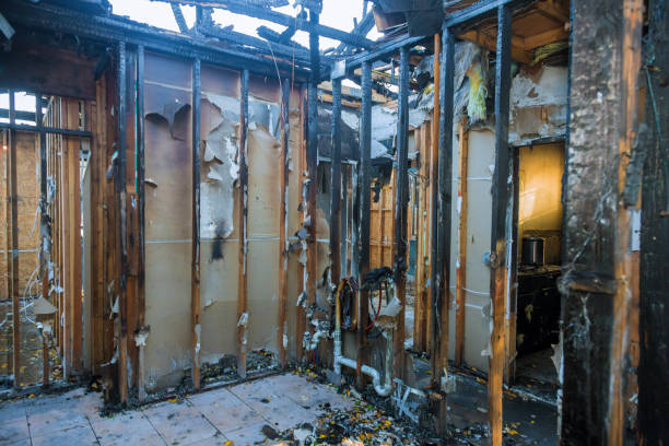 Professional Soot Cleanup technician working in Parrish, FL